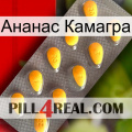 Ананас Камагра cialis1